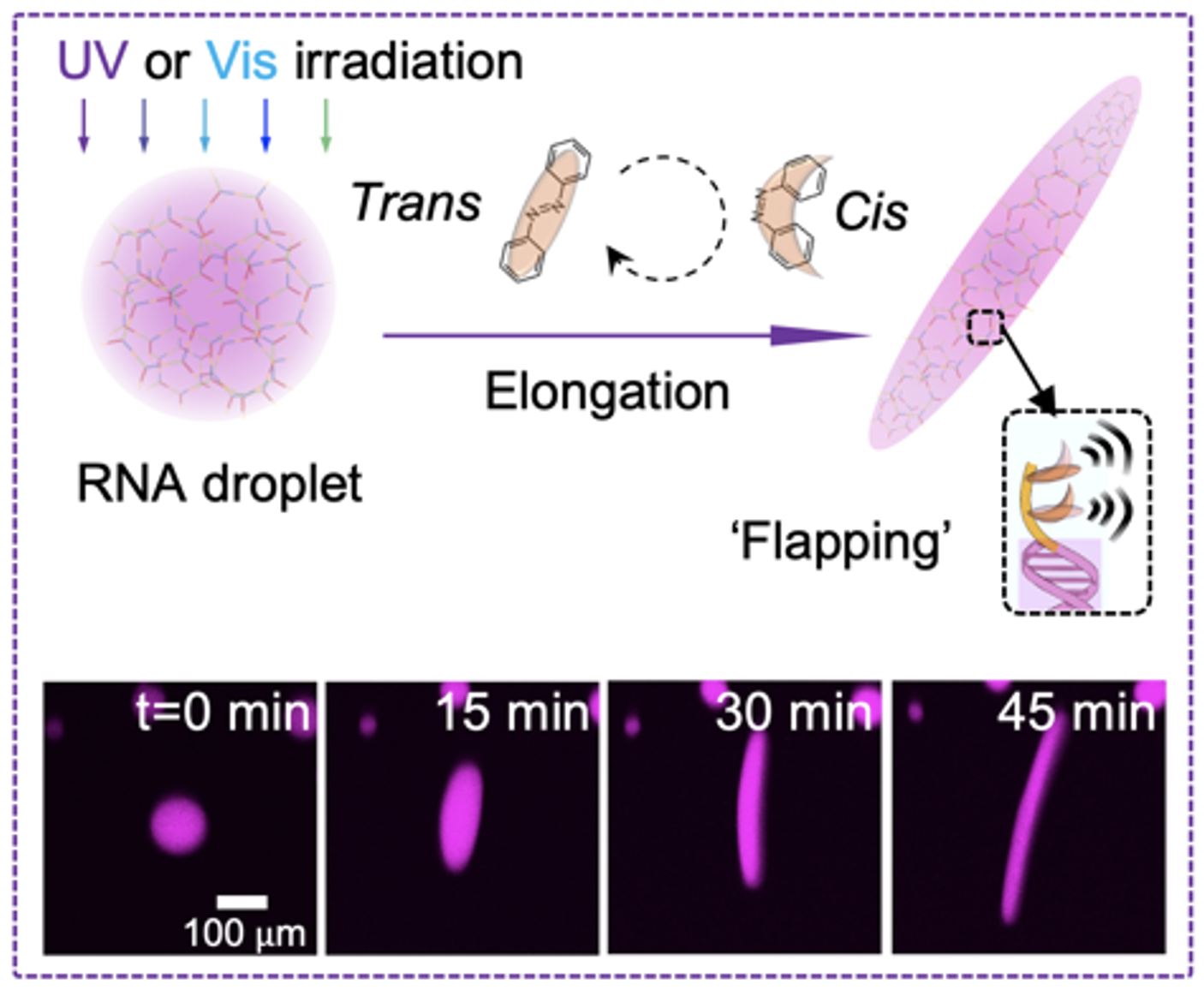 Screen Shot 2025-09-13 at 14.33.14.png