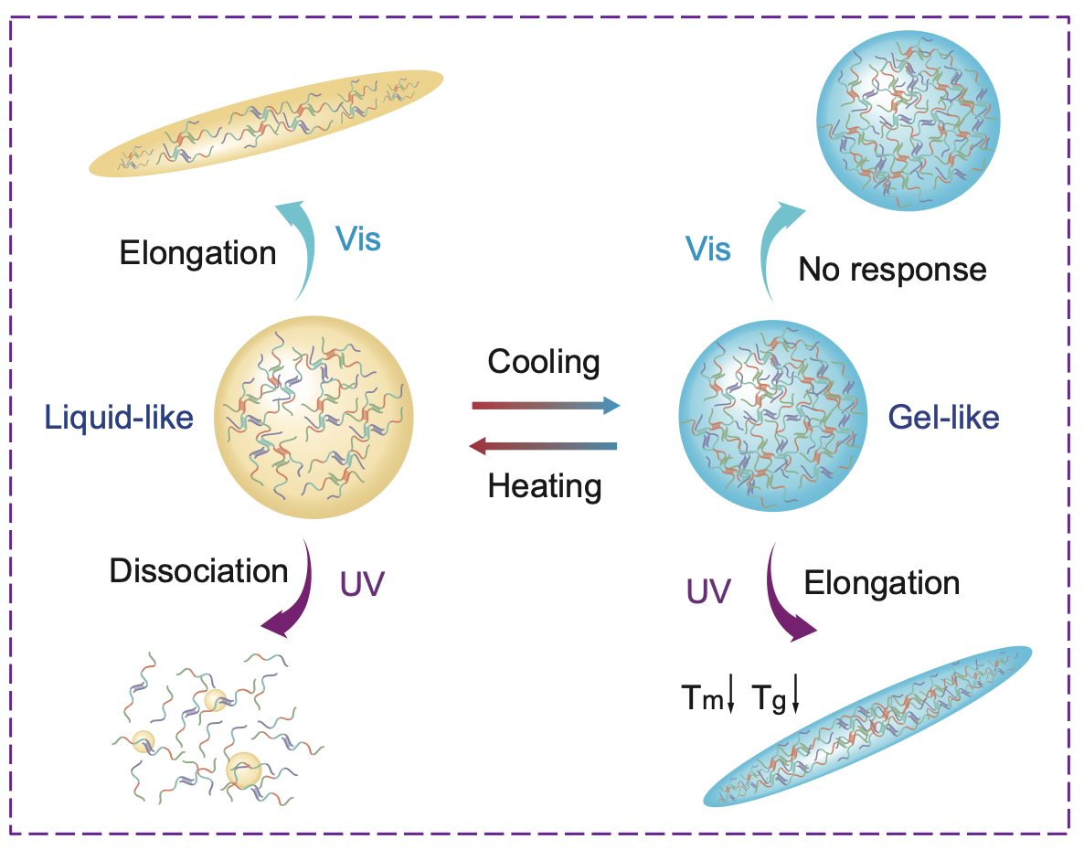 Screen Shot 2025-12-04 at 21.17.07.png